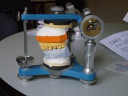 Articulator