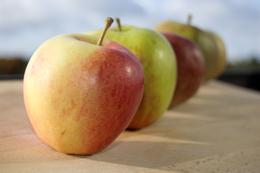 5 frische Äpfel als Symbol für eine zahngesunde Ernährung